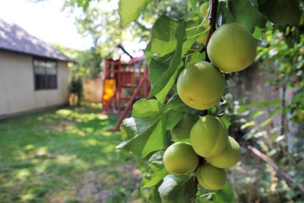 Experience Nirvana With Artwork Collections From Around The Globe Located In Lakewood Neighborhood In Se Boise Next To A Park, Minutes From Bown Crossing And The Boise River, 10 Minutes To Downtown, 4 Beds, Sleeps 8, Pets Welcome In Large Fenced In Y Zewnętrze zdjęcie